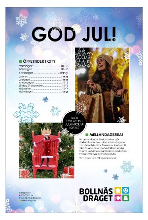 ljusnan-20251224_000_00_00_011.pdf