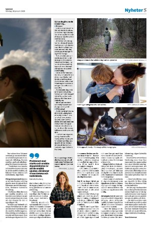 ljusnan-20260118_000_00_00_005.pdf