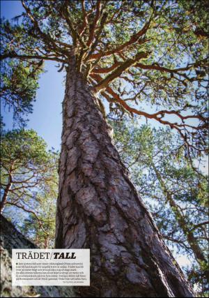 ljusnan_bilaga1-20160920_000_00_00_012.pdf