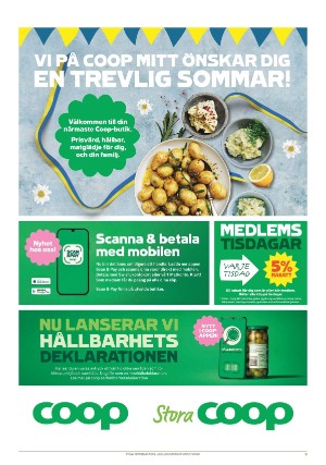 ljusnan_bilaga1-20210620_000_00_00_009.pdf