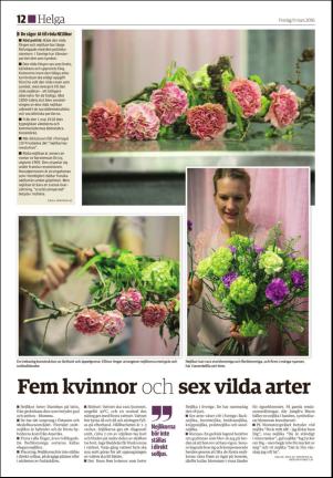 ljusnan_d-20160311_000_00_00_012.pdf