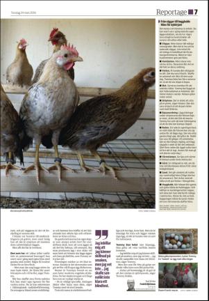 ljusnan_d-20160324_000_00_00_007.pdf