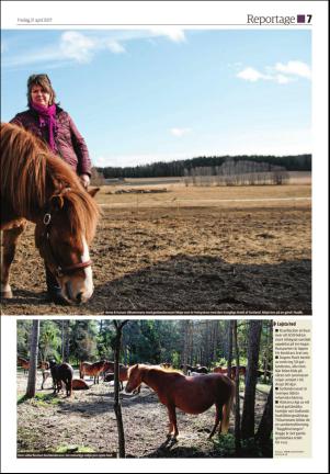 ljusnan_d-20170421_000_00_00_007.pdf