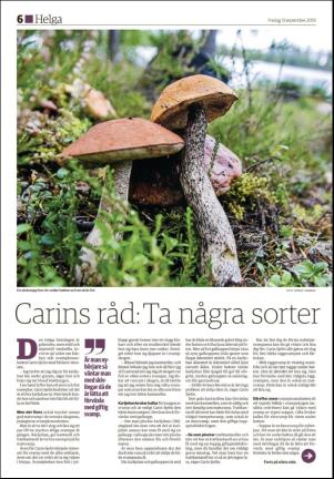 ljusnan_d-20190913_000_00_00_006.pdf