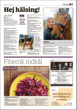 ljusnan_d-20201009_000_00_00_005.pdf