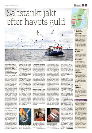 ljusnan_d-20201127_000_00_00_013.pdf