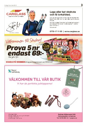 ljusnan_d-20201204_000_00_00_003.pdf