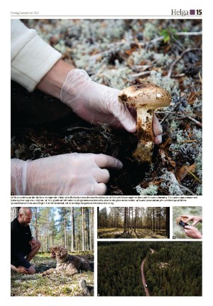 ljusnan_d-20211203_000_00_00_015.pdf