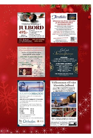 ljusnan_helga-20251127_000_00_00_013.pdf