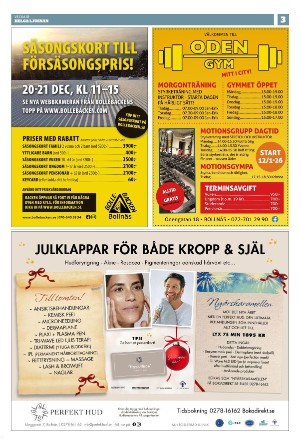 ljusnan_helga-20251218_000_00_00_003.pdf