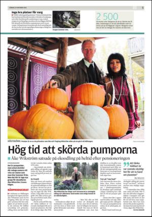 lokaltidningenstenungsund-20121029_000_00_00_005.pdf
