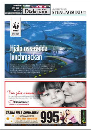 lokaltidningenstenungsund-20130608_000_00_00_032.pdf