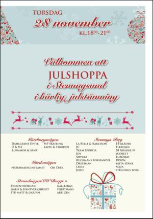 lokaltidningenstenungsund-20131126_000_00_00_013.pdf