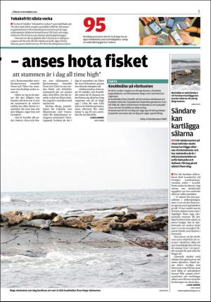 lokaltidningenstenungsund-20161119_000_00_00_005.pdf