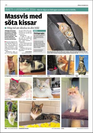 lokaltidningenstenungsund-20161203_000_00_00_020.pdf