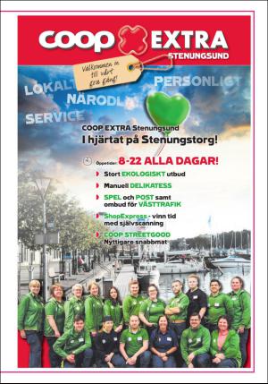 lokaltidningenstenungsund-20170128_000_00_00_017.pdf