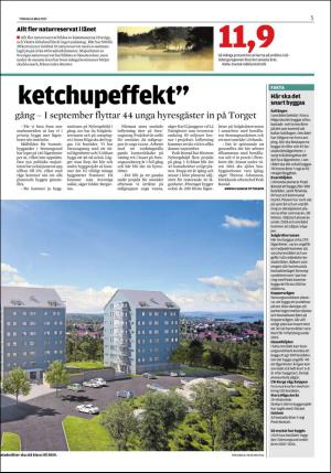 lokaltidningenstenungsund-20170516_000_00_00_005.pdf