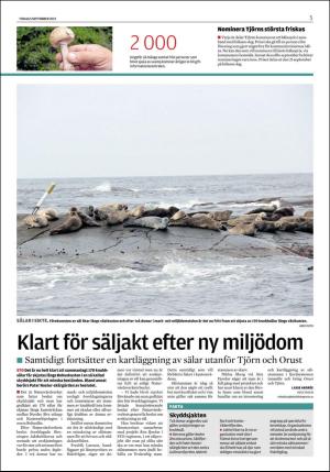 lokaltidningenstenungsund-20170905_000_00_00_005.pdf