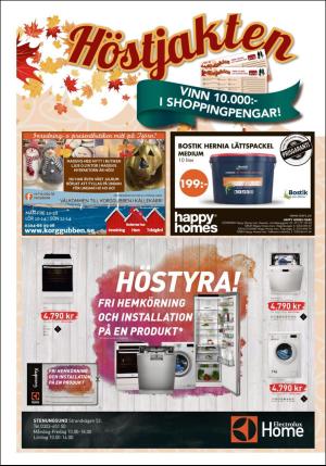 lokaltidningenstenungsund-20171021_000_00_00_020.pdf