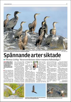 lokaltidningenstenungsund-20200818_000_00_00_011.pdf
