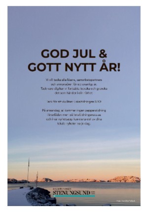 lokaltidningenstenungsund-20201222_000_00_00_015.pdf