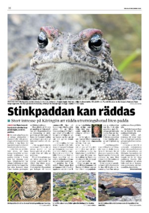 lokaltidningenstenungsund-20201229_000_00_00_010.pdf