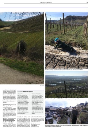 lokaltidningenstenungsund-20210403_000_00_00_021.pdf