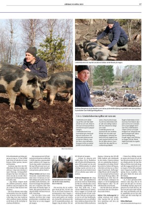 lokaltidningenstenungsund-20210410_000_00_00_017.pdf