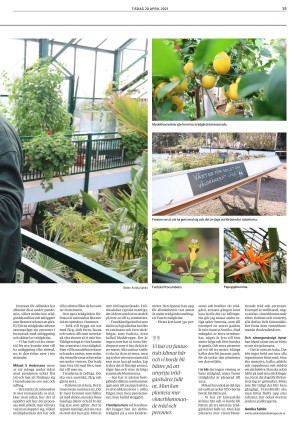 lokaltidningenstenungsund-20210420_000_00_00_015.pdf
