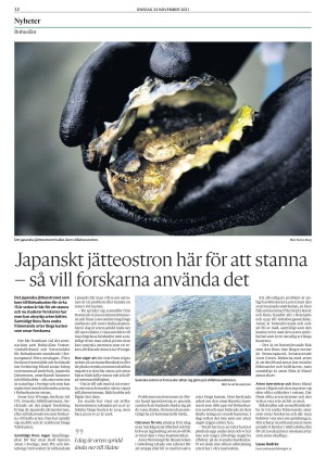 lokaltidningenstenungsund-20211124_000_00_00_012.pdf