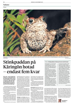 lokaltidningenstenungsund-20211124_000_00_00_016.pdf