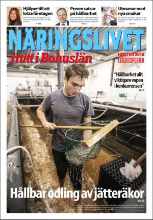 Lysekilsposten  Näringslivet 2018-11-09