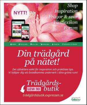 magbook-20160217_000_00_00_107.pdf