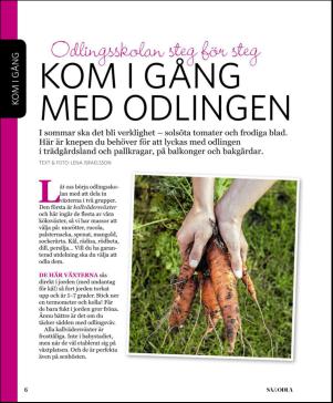 magbook-20160302_000_00_00_006.pdf