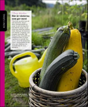 magbook-20160302_000_00_00_014.pdf