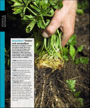 magbook-20160302_000_00_00_046.pdf
