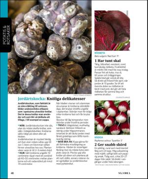 magbook-20160302_000_00_00_048.pdf