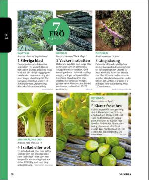magbook-20160302_000_00_00_056.pdf