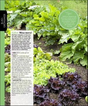 magbook-20160302_000_00_00_060.pdf