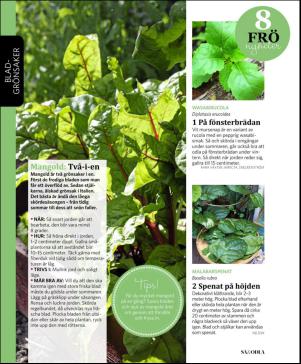 magbook-20160302_000_00_00_064.pdf