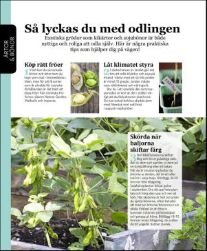 magbook-20160302_000_00_00_072.pdf