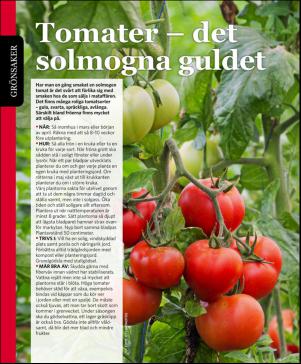 magbook-20160302_000_00_00_076.pdf