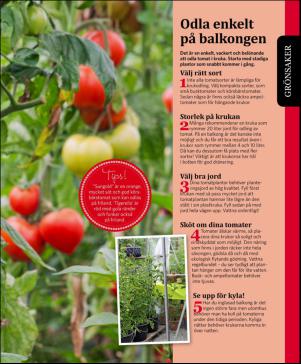 magbook-20160302_000_00_00_077.pdf