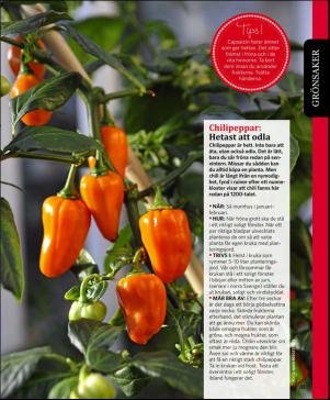 magbook-20160302_000_00_00_081.pdf