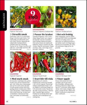 magbook-20160302_000_00_00_082.pdf