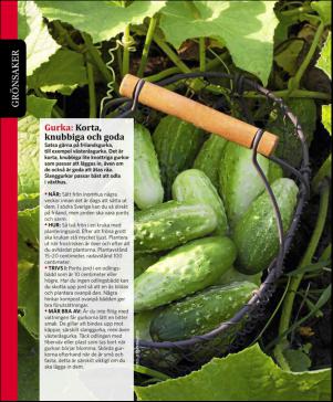 magbook-20160302_000_00_00_086.pdf