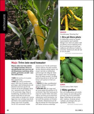 magbook-20160302_000_00_00_088.pdf