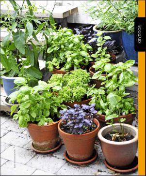 magbook-20160302_000_00_00_101.pdf