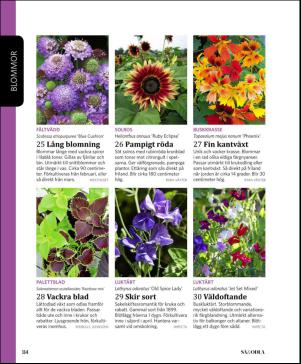 magbook-20160302_000_00_00_114.pdf