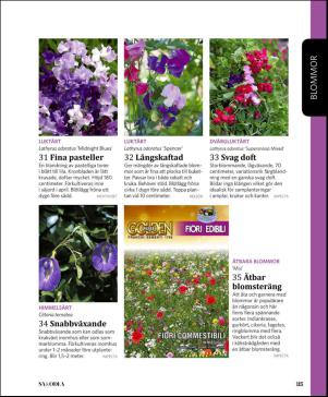 magbook-20160302_000_00_00_115.pdf